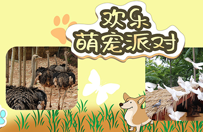 秋千王国_无主题游乐园_网红打卡景区